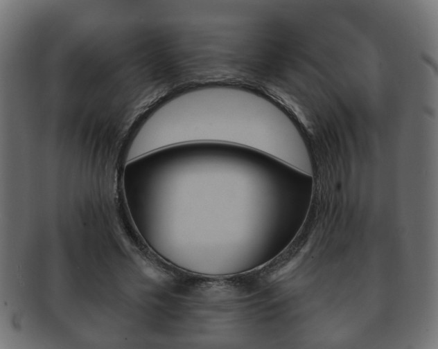 X0000092310589200709141033
