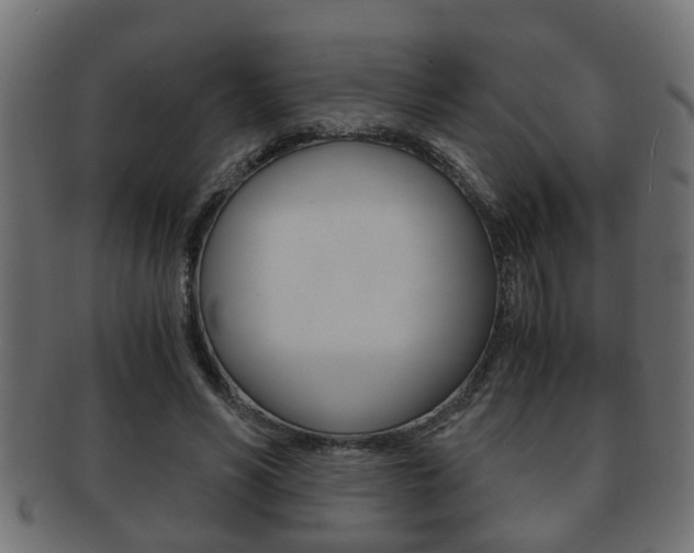X0000092310590200709141033