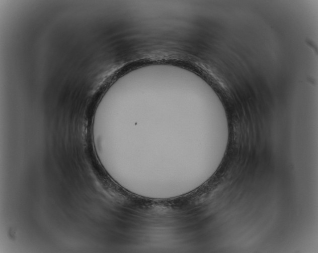 X0000092310592200709141033