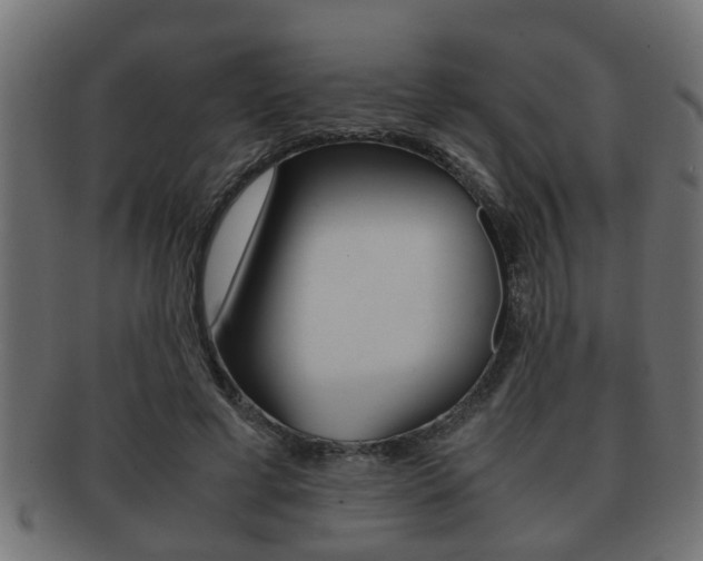 X0000092310593200709141033