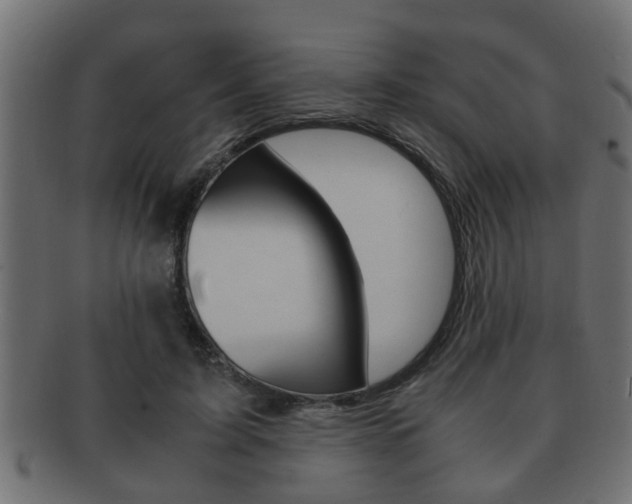 X0000092310595200709141033