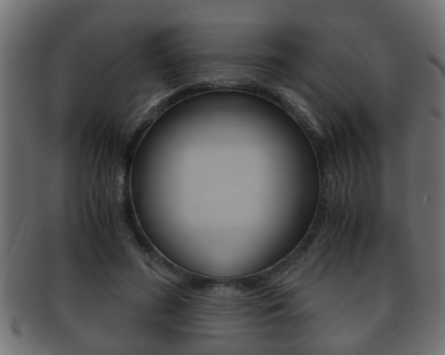 X0000092310596200709141033
