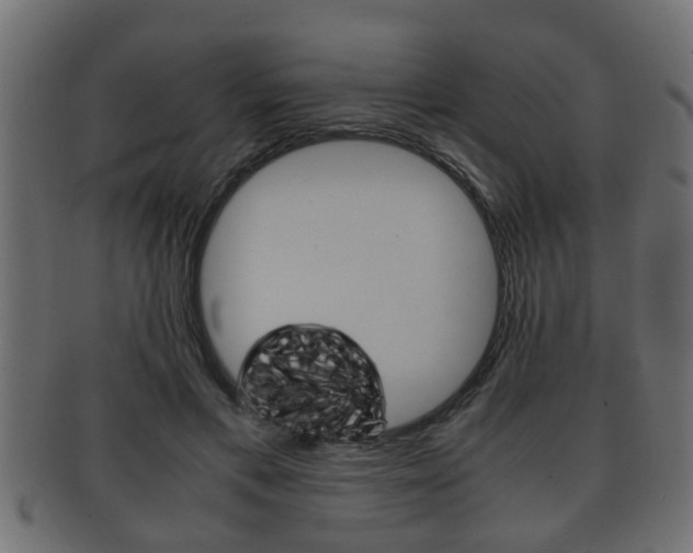 X0000092310597200709141032