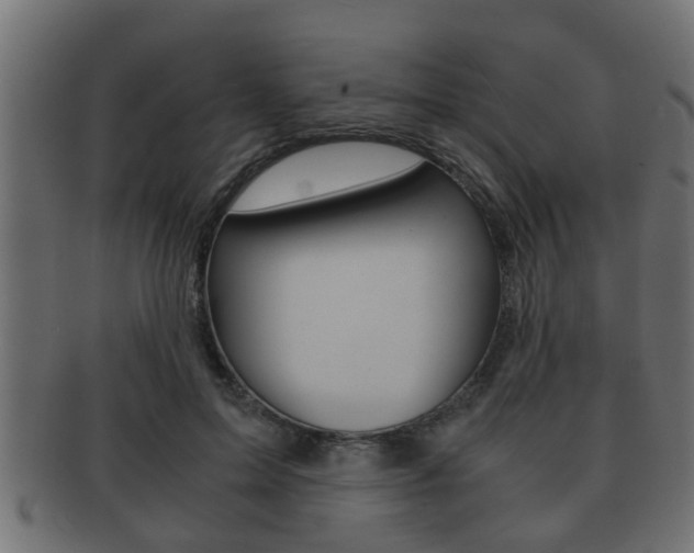 X0000092310599200709141032