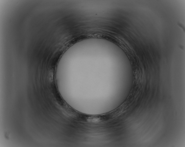 X0000092310602200709141032