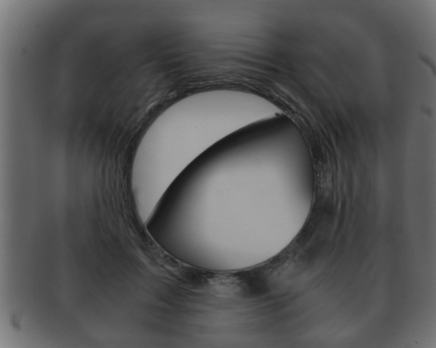 X0000092310603200709141032
