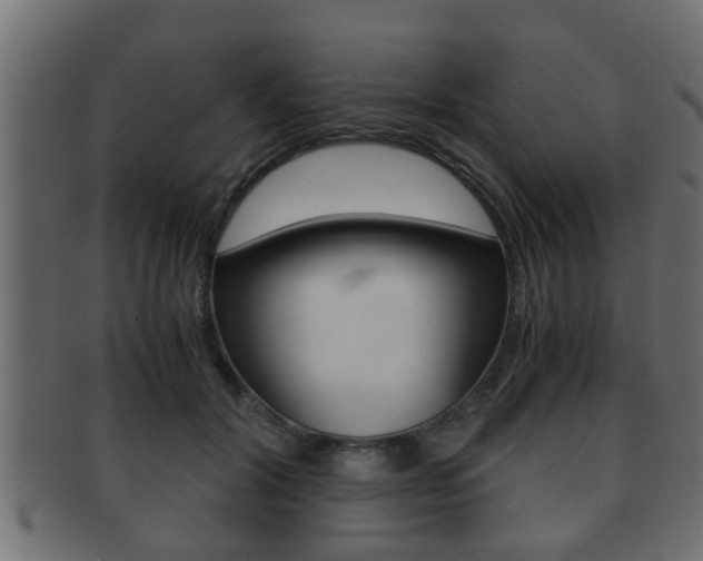 X0000092310604200709141032