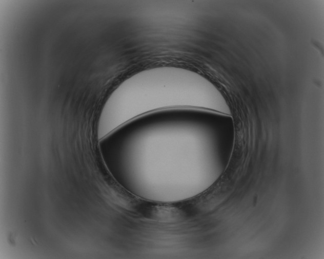 X0000092310605200709141032