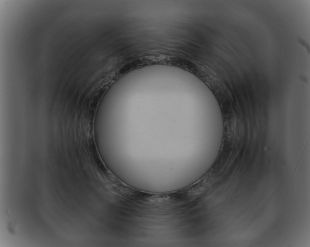 X0000092310606200709141032