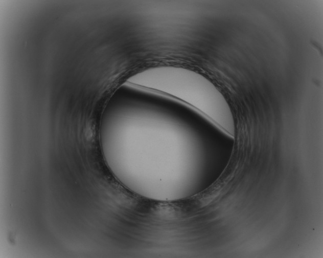 X0000092310608200709141032