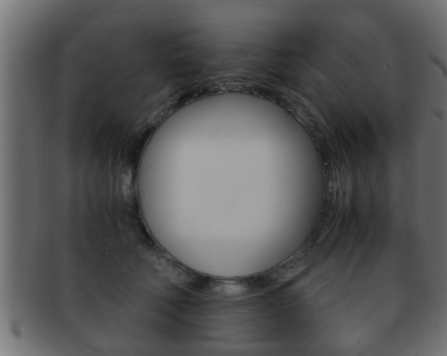 X0000092310610200709141032