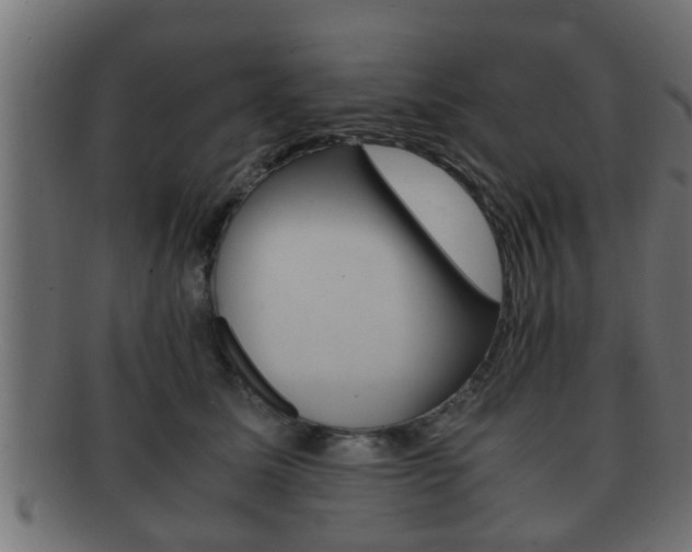 X0000092310611200709141032