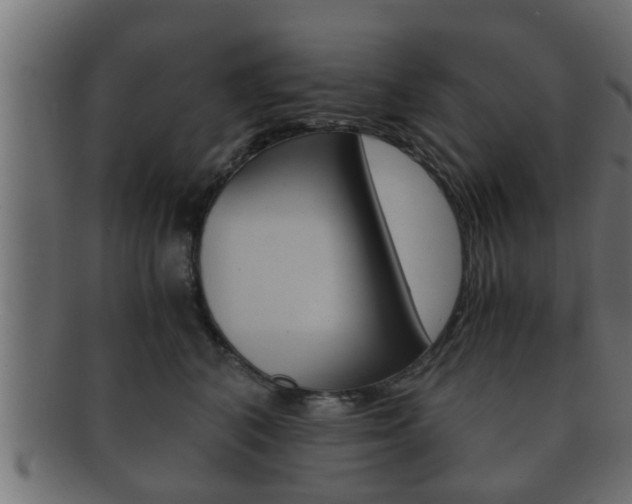 X0000092310616200709141032