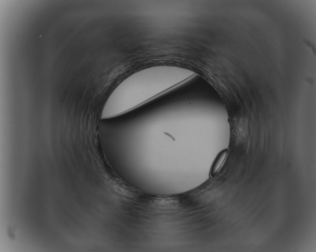 X0000092310619200709141032