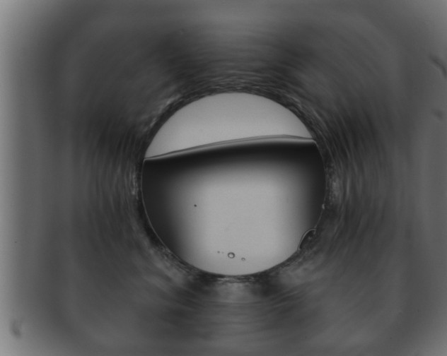 X0000092310620200709141032