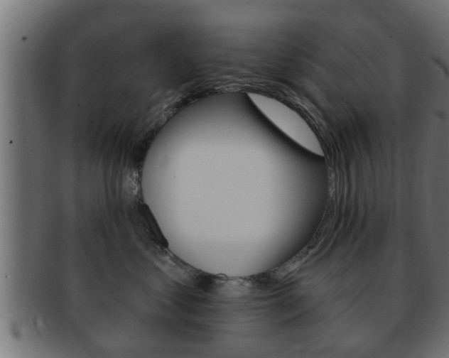 X0000092310621200709141032