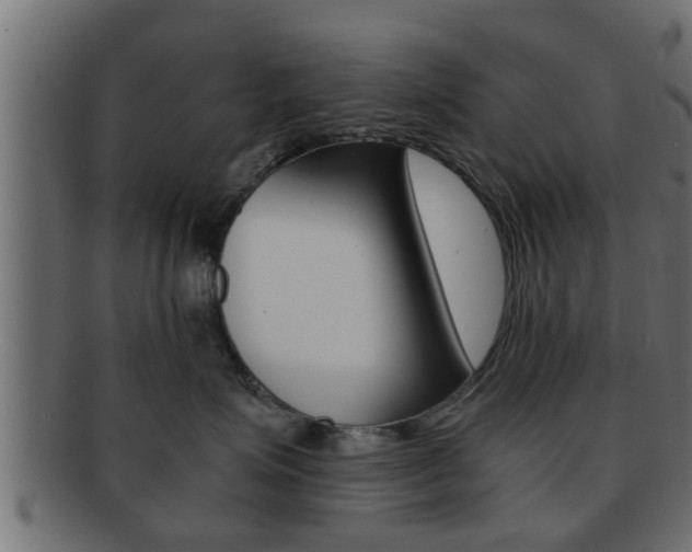 X0000092310623200709141032