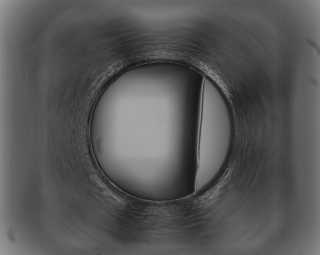 X0000092310625200709141031