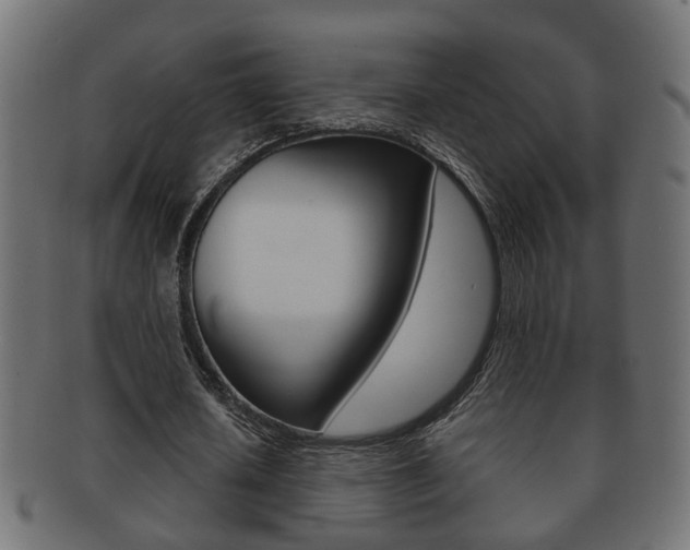 X0000092310626200709141031