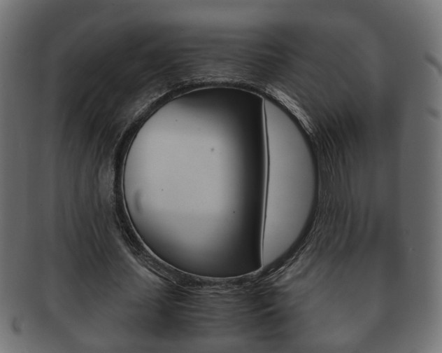 X0000092310627200709141031