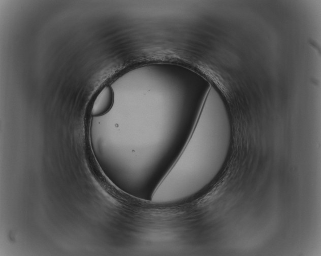 X0000092310630200709141031