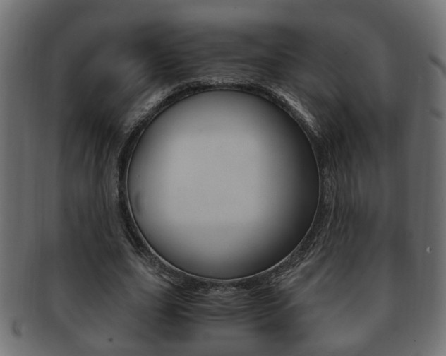 X0000092310631200709141031