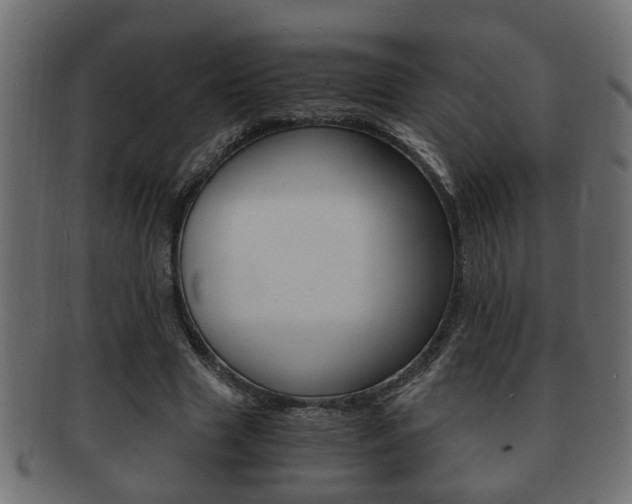X0000092310633200709141031