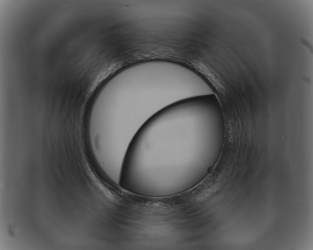 X0000092310634200709141031