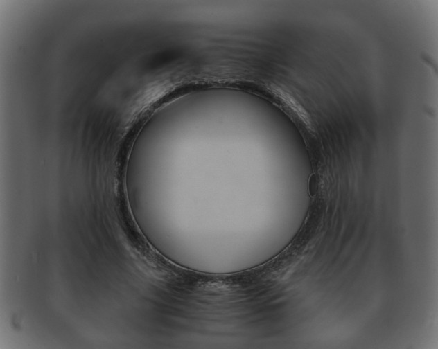 X0000092310635200709141031