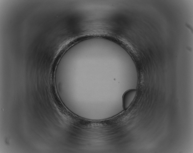 X0000092310636200709141031