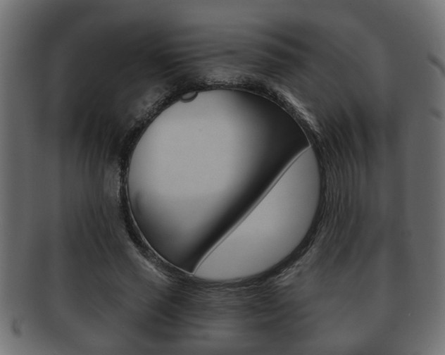 X0000092310637200709141031