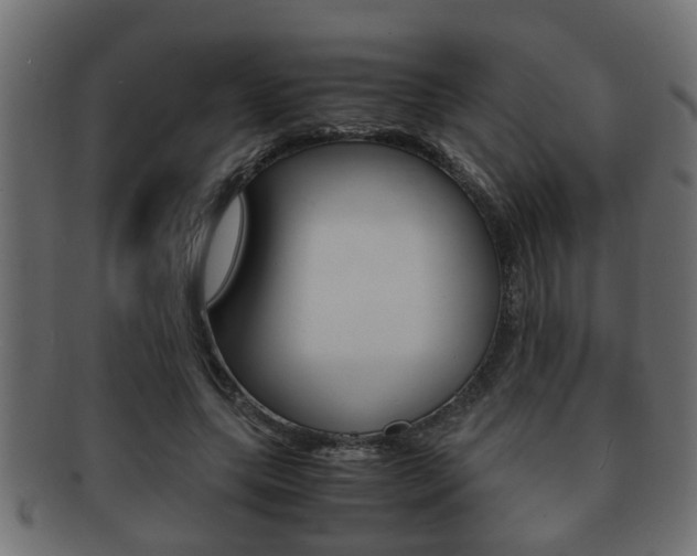 X0000092310639200709141031