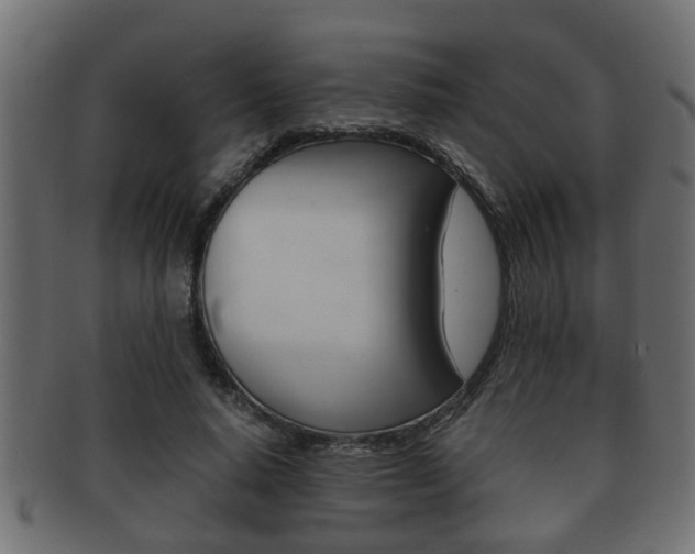 X0000092310640200709141031