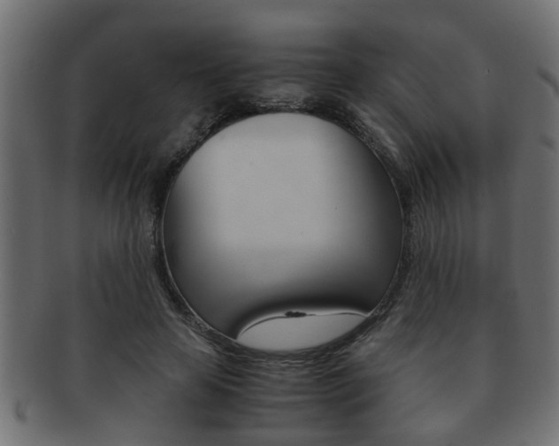 X0000092310641200709141031