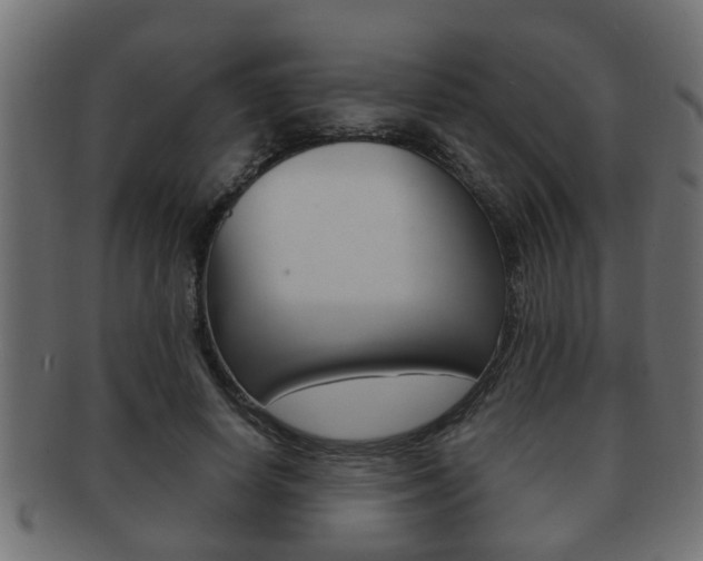 X0000092310642200709141031
