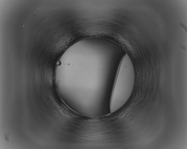 X0000092310644200709141031