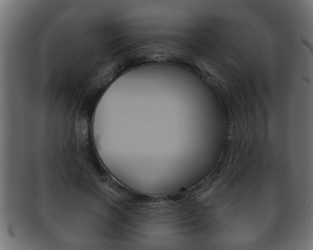 X0000092310646200709141032