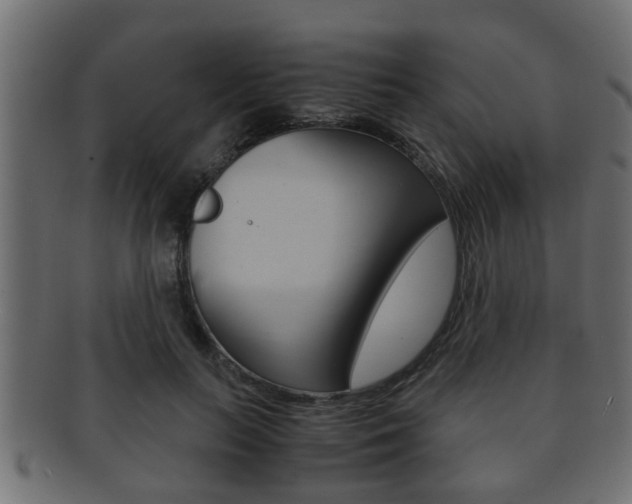 X0000092310647200709141032