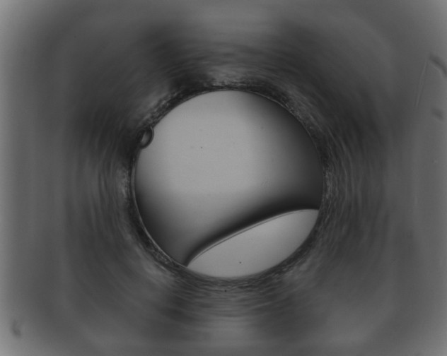 X0000092310648200709141032
