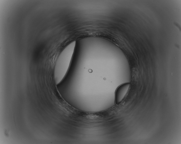 X0000092310650200709141032