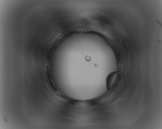 X0000092310652200709141032
