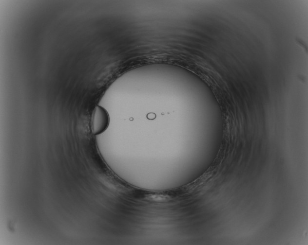 X0000092310654200709141032