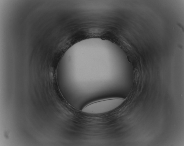 X0000092310655200709141032