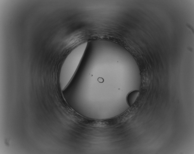 X0000092310656200709141032