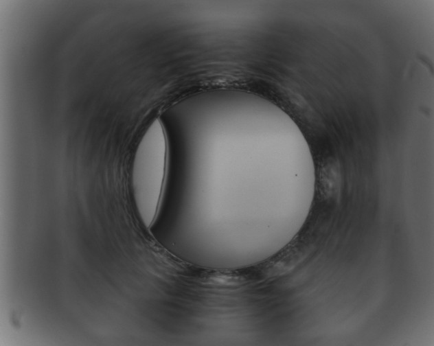 X0000092310657200709141032