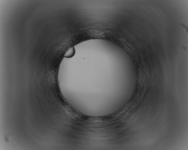 X0000092310658200709141032
