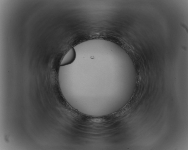 X0000092310659200709141032