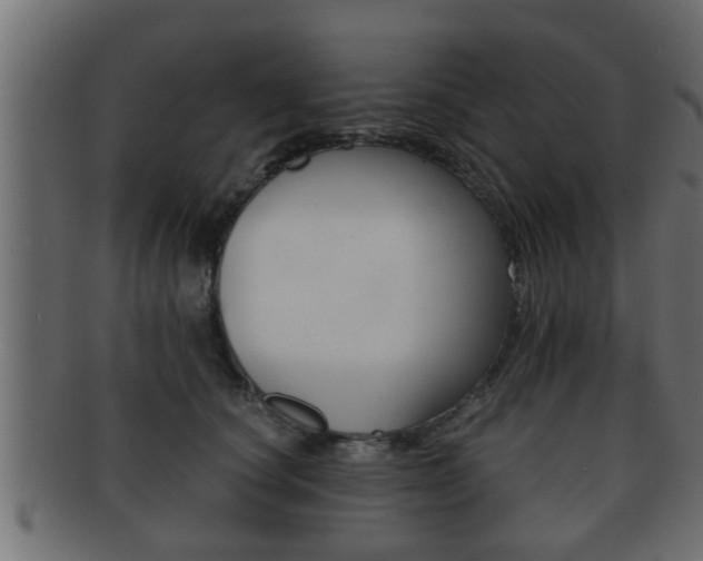 X0000092310660200709141032