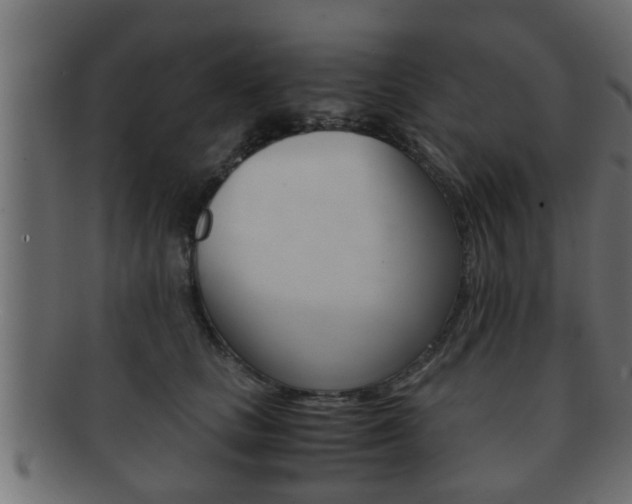 X0000092310661200709141032