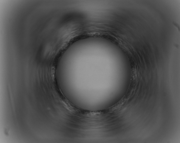 X0000092310664200709141032